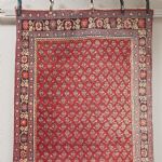 681558 Carpet